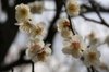 20070217_fuchu_005